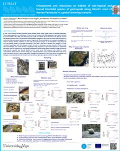 Siphonariidae / Landforms / Oceanography / Water / Marine biology / Tide / Vigo / Siphonaria / Rocky shore / Physical geography / Littorinidae / Physical oceanography