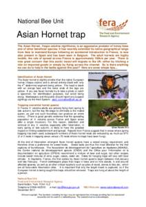 National Bee Unit  Asian Hornet trap