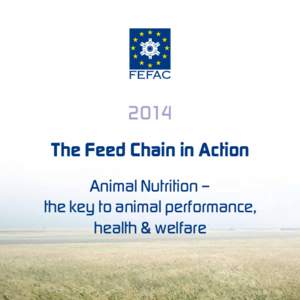 2014 The Feed Chain in Action Animal Nutrition – the key to animal performance, health & welfare