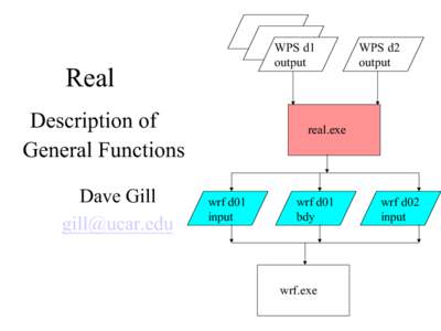 WPS d1 output Real Description of General Functions