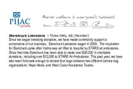 Starstruck Labradors - Three Hills, AB (Member)  Since we began breeding labradors, we have made community support a cornerstone of our business. Starstruck Labradors began in[removed]The inspiration for Starstruck came af