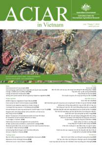 Vietnam / Rice / Cần Thơ / Yen Bai province / Lao Cai province / Mekong Delta / Paddy field / Ning / Asia / Socialism / Australian Centre for International Agricultural Research