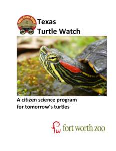 Texas Turtle Watch A citizen science program for tomorrow’s turtles