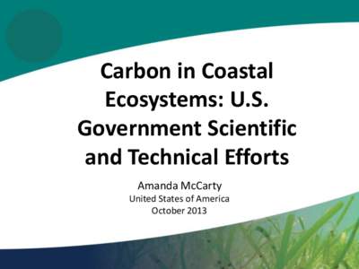 Carbon in Coastal Ecosystems: U.S. Government Scientific and Technical Efforts Amanda McCarty United States of America