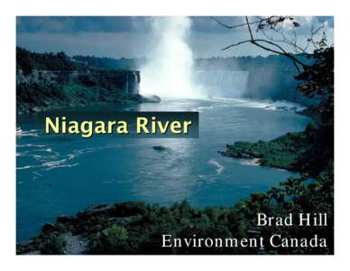 Niagara  River  Contaminant  Monitoring