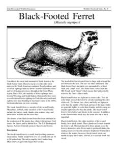 Utah Division of Wildlife Resources  Wildlife Notebook Series No. 8 Black-Footed Ferret (Mustela nigripes)