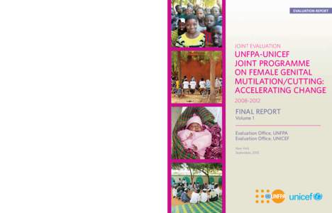 United Nations Population Fund / Demographic and Health Surveys / UNICEF / Inter-African Committee on Traditional Practices Affecting the Health of Women and Children / Tostan / United Nations Development Group / United Nations / Female genital mutilation