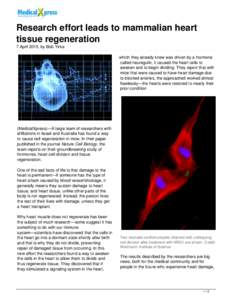 Research effort leads to mammalian heart tissue regeneration
