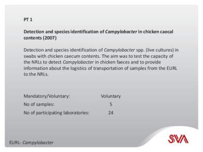 PT 1 Detection and species identification of Campylobacter in chicken caecal contentsDetection and species identification of Campylobacter spp. (live cultures) in swabs with chicken caecum contents. The aim was t