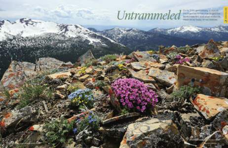 Atop the ScApegoAt WilderneSS. photo by JeSSe lee VArnAdo. 20 JULY–AUGUST 2014 FWP.MT.GOV/MTOUTDOORS MONTANA OUTDOORS  21