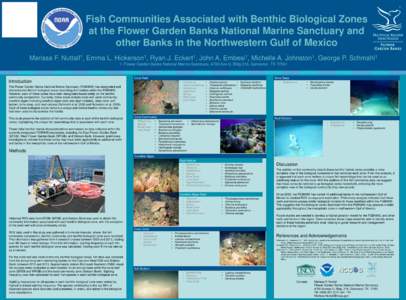 Fish Communities Associated with Benthic Biological Zones at the Flower Garden Banks National Marine Sanctuary and other Banks in the Northwestern Gulf of Mexico Marissa F.  1