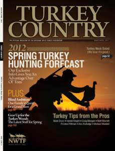 The Gobbler / Hunting / Game call / Domesticated turkey / Gobbler / Zoology / Turkey / Ornithology / Animals in sport / Game birds / Turkey hunting / Meleagrididae