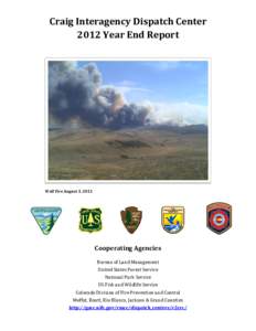 Wildfires / Occupational safety and health / Mfx / Wildfire / Lightning / Controlled burn / United States Forest Service / Dispatcher / Atmospheric sciences / Meteorology / Systems ecology