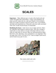 Forest Health Protection, Southern Region  SCALES Importance. - Many different types of scales effect hardwoods and conifers throughout the United States. A large scale population can reduce growth, weaken the tree, and 