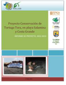 Proyecto Conservación de Tortuga Tora, en playa Salamina y Costa Grande