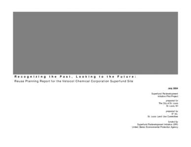 Reuse Planning Report for the Velsicol Chemical Corporation Superfund Site