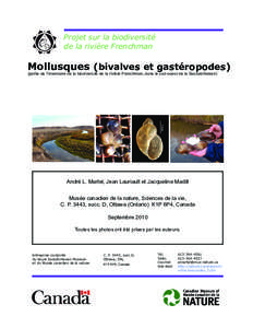 Projet sur la biodiversité de la rivière Frenchman Mollusques (bivalves et gastéropodes) (partie de l’inventaire de la biodiversité de la rivière Frenchman, dans le sud-ouest de la Saskatchewan)