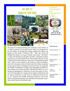 ICRCC BROCHURE Iyiniwok Consultation and