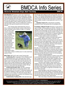 BMDCA Info Series  Bernese Mountain Dogs And Tracking Introduction ►Tracking is a basic form of search and rescue utilizing the instinctive canine scenting ability. Tracking usually takes place in fields and woods, and