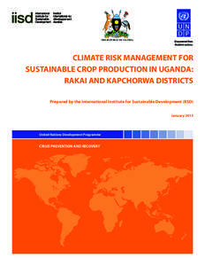CLIMATE RISK MANAGEMENT FOR SUSTAINABLE CROP PRODUCTION IN UGANDA: RAKAI AND KAPCHORWA DISTRICTS Prepared by the International Institute for Sustainable Development (IISD) January 2013