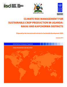 Emergency management / Management / Climate risk management / Adaptation to global warming / Climate risk / Disaster risk reduction / United Nations Development Programme / Intergovernmental Panel on Climate Change / Kapchorwa District / Natural disasters / Development / Public safety