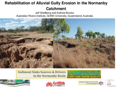 Rehabilitation of Alluvial Gully Erosion in the Normanby Catchment Jeff Shellberg and Andrew Brooks Australian Rivers Institute, Griffith University, Queensland, Australia  1