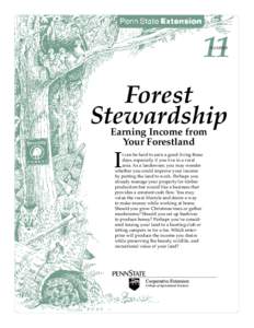 11 Number Forest Stewardship Earning Income from