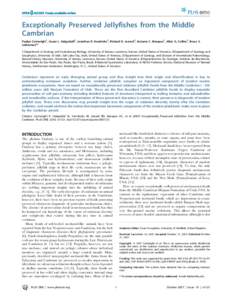 Exceptionally Preserved Jellyfishes from the Middle Cambrian Paulyn Cartwright1, Susan L. Halgedahl2, Jonathan R. Hendricks3, Richard D. Jarrard2, Antonio C. Marques4, Allen G. Collins5, Bruce S. Lieberman3* 1 Department