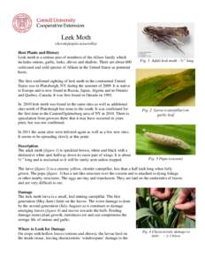 Microsoft Word - factsheet leek moth 2011 final - adi.doc