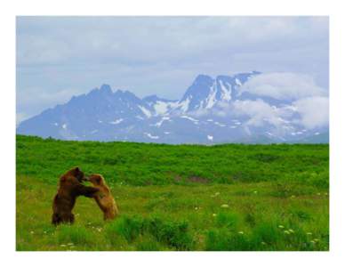 Evidence of Oil and Gas Impacts at Weminuche Wilderness