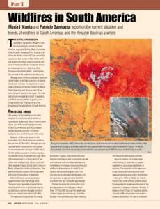 Part X  Wildfires in South America María I Manta and Patricio Sanhueza report on the current situation and trends of wildfires in South America, and the Amazon Basin as a whole