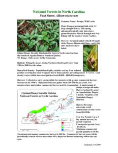 Flora of Connecticut / Flora of Ohio / Onions / Allium / Nantahala National Forest / Leek / Harvest / Perennial plant / Flora of the United States / Leaf vegetables / Allium tricoccum