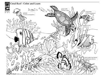 Coral Reef - Color and Learn S AV E N ATURE. O R G  green turtle