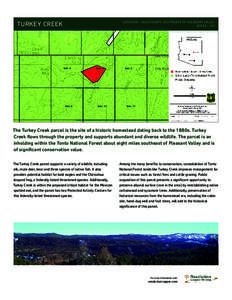 TURKEY CREEK  LOCATION – GIL A COUNT Y, SOUTHEAST OF PLEASANT VALLE Y ACRES – 147  The Turkey Creek parcel is the site of a historic homestead dating back to the 1880s. Turkey