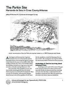 The Parkin Site  Hernando de Soto in Cross County, Arkansas Jeffrey M. Mitchem, Ph. D. (Arkansas Archeological Survey)  Artist’s reconstruction of how the Parkin site may have looked, ca. a.dDrawing by Linda Mu