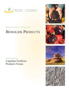 Microsoft Word - Working Group Biosolids English.doc