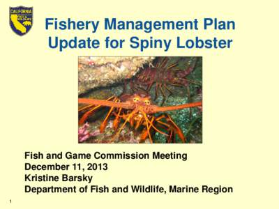 Fishery Management Plan Update for Spiny Lobster Fish and Game Commission Meeting December 11, 2013 Kristine Barsky