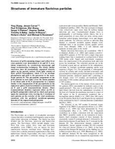 The EMBO Journal Vol. 22 No. 11 pp. 2604±2613, 2003  Structures of immature ¯avivirus particles Ying Zhang, Jeroen Corver1,2, Paul R.Chipman, Wei Zhang,