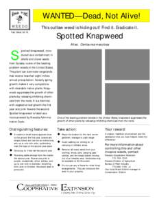 WANTED— Dead, Not Alive! WEEDS This outlaw weed is hiding out! Find it. Eradicate it.  Fact Sheet 98-76