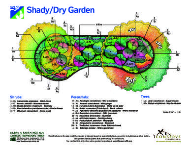 Shady/Dry Garden 3 Hv 4 Sc