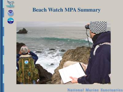 Beach Watch MPA Summary  Beach Watch Overview Beach Watch: The Eyes and Ears of the SF Bay Area Outer Coast The Beach Watch ecosystem monitoring program of the Gulf of the Farallones National