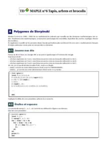 TD  MAPLE n°6 Tapis, arbres et brocolis A Polygones de Sierpinski Waclaw S IERPINSKI[removed]fut un mathématicien polonais qui travailla sur des domaines mathématiques très ardus : fondements des mathématiques