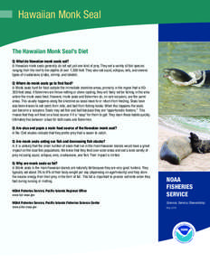 Hawaiian Monk Seal The Hawaiian Monk Seal’s Diet Q: What do Hawaiian monk seals eat? A: Hawaiian monk seals generally do not eat just one kind of prey. They eat a variety of fish species ranging from the reef to the de