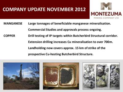 Montezuma Mining Company AGM 2008