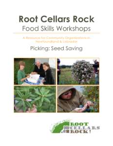 Root Cellars Rock Food Skills Workshops A Resource for Community Organizations in Newfoundland & Labrador  Picking: Seed Saving