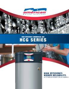 HIGH EFFICIENCY COMMERCIAL GAS  HCG SERIES
