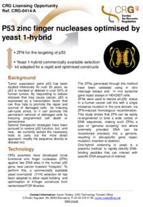 CRG Licensing Opportunity Ref. CRG-0414/A P53 zinc finger nucleases optimised by yeast 1-hybrid  ZFN for the targeting of p53