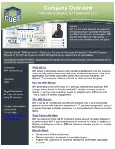 Microsoft Word - One Page Company Profile - BIR Solutions