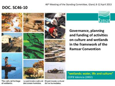 DOC. SC46-10  46th Meeting of the Standing Committee, Gland, 8-12 April 2013 Governance, planning and funding of activities