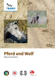 Pferd und Wolf Wege zur Koexistenz Impressum © 2015, NABU-Bundesverband 1. Auflage